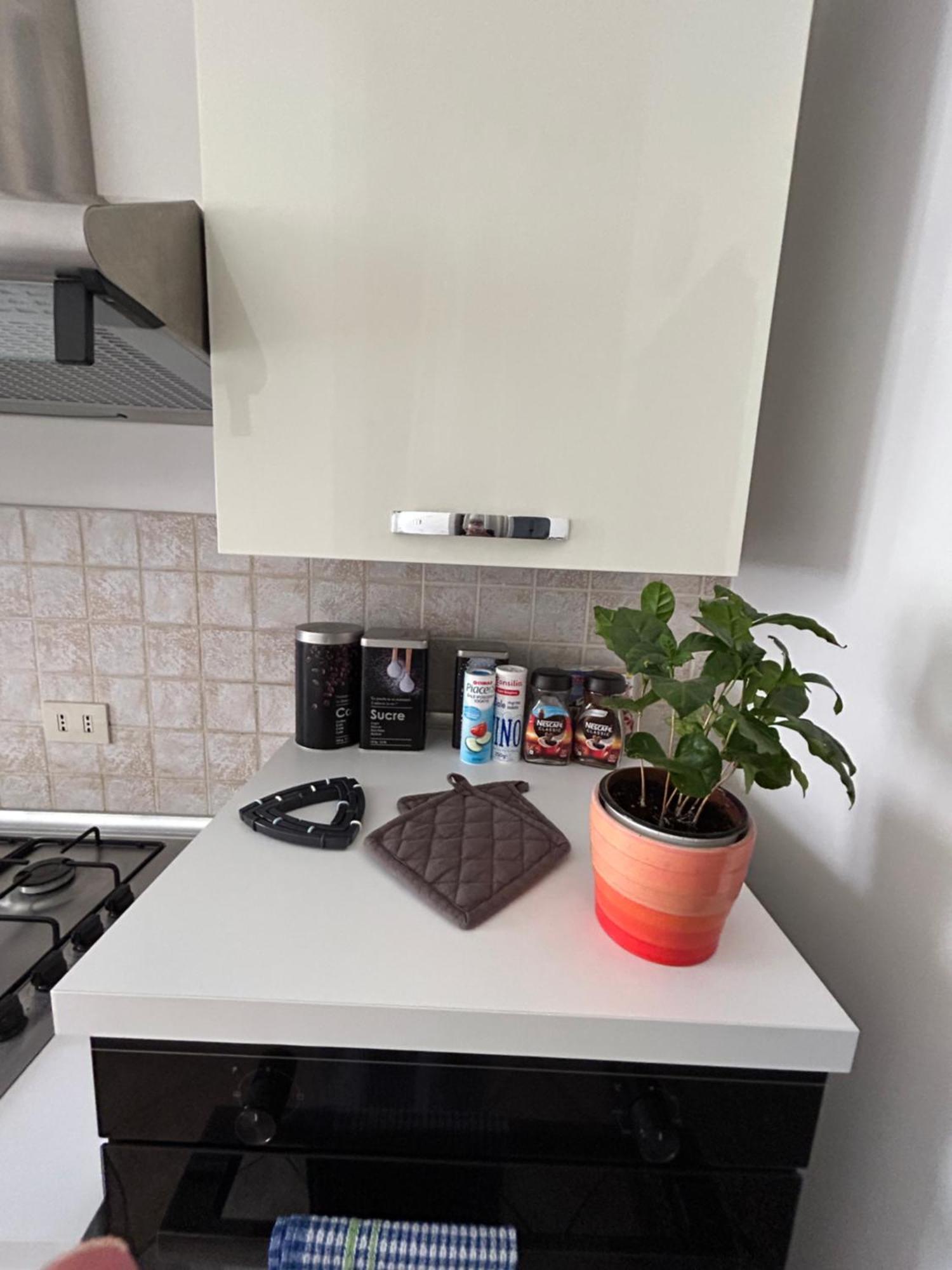 Tra Mare E Arte Apartment ลิโด ดิ ออสเตีย ภายนอก รูปภาพ